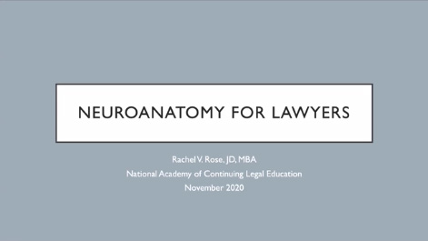 Neuro Anatomy for Lawyers Thumbnail